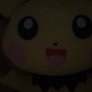 Meet your Posher, Joey